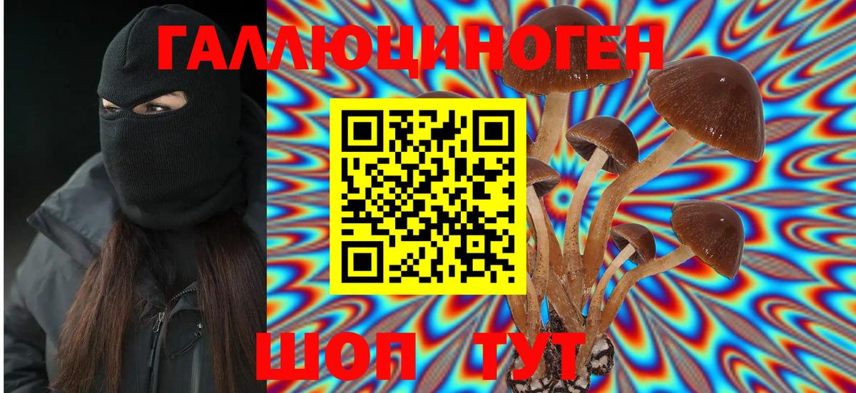 Псилоцибиновые грибы Cubensis Мытищи