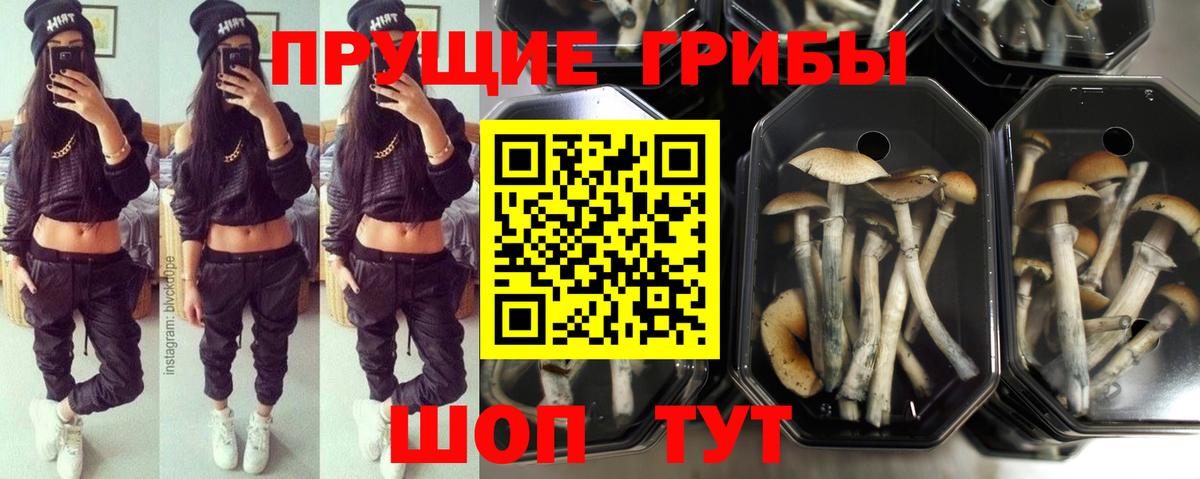 Мытищи  Галлюциногенные грибы мухоморы  Вход с VPN 